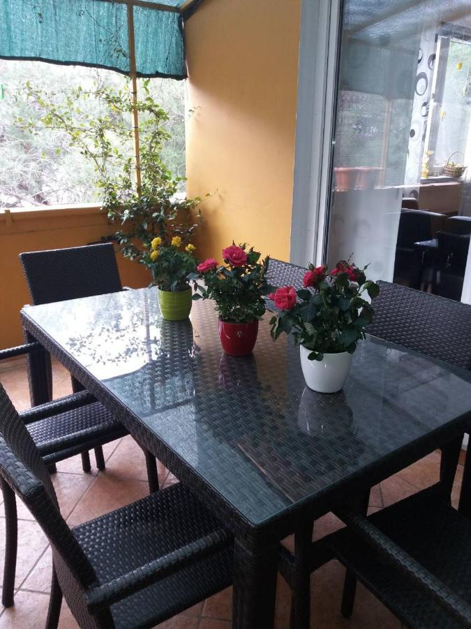 Apartman Lucica Zadar Ngoại thất bức ảnh
